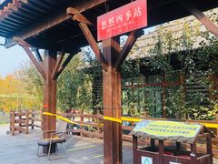 -西青郊野公园