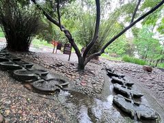 -成都市活水公园