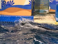 -太平洋海底世界