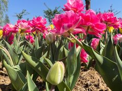 -泗洪洪泽湖湿地景区