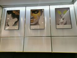 -崇尚GAVIN STYLE臻选