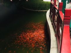 -西海子公园