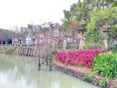 -中旅阿那亚九龙湖·公主酒店