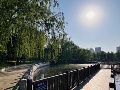 -莲花池公园