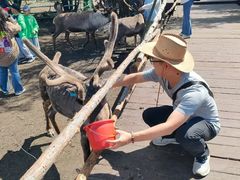 -莫尔道嘎国家森林公园