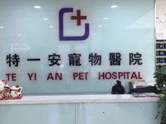 -特一安24小时宠物医院·骨科·中兽医
