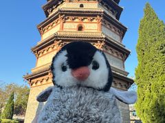 -天宁寺