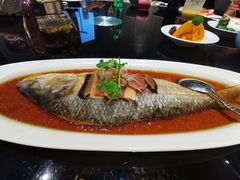 酒香大鲥鱼-丰收日(五角场店)