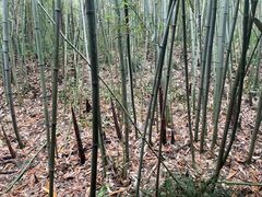 -苏州太湖国家湿地公园