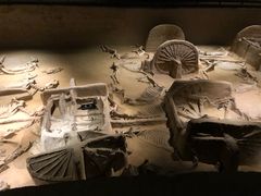 -洛阳周王城天子驾六博物馆