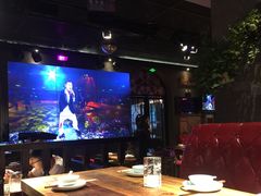 -猫头婴小酒馆FUN OWL(1912店)