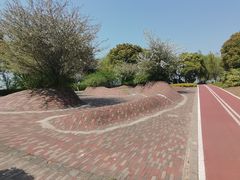 -西京湾花海