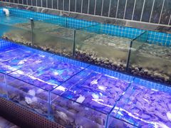 -海韵之星邮轮水会(明发商业广场店)