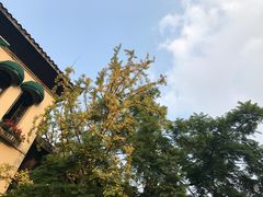 -邓记新一代糖油果子(四川煤管局供销公司职工宿舍店)