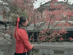 -龙潭水乡