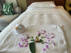 -三亚亚龙湾万豪度假酒店