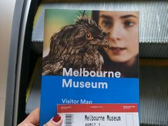 -墨尔本博物馆(Melbourne Museum)