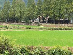 -东天目山风景区