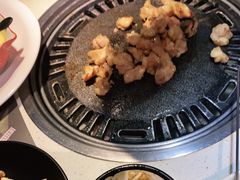 -猫爪爪原切自助烤肉(观音桥阳光世纪店)
