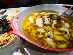 -雲蜀龙阁·金牌水煮鱼(方庄店)