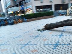 -韩聚园韩国料理(文灶店)