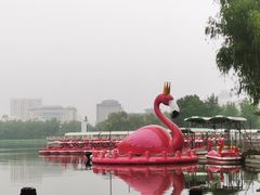 -莲花池公园