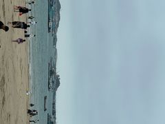 -马銮湾景区