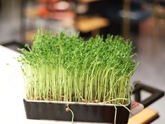 -煲宫猪肚鸡(晶品店)