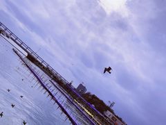 -大连圣亚海洋世界