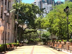-香港大学