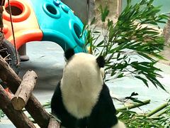 -青藏高原野生动物园