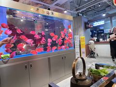 -朱光玉火锅馆(正弘城店)