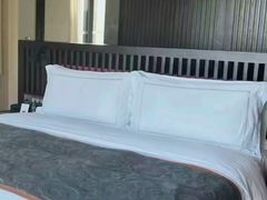 -海南清水湾莱佛士酒店