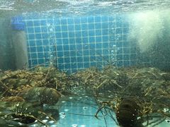 -白仁仔· 活烤海鲜 宵夜(豫园店)