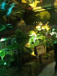 -恐龙探索乐园(磁器口店)