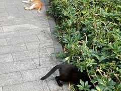 -晓港公园
