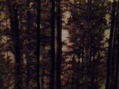 iphone_upload_pic-杭州逸酒店(西湖武林店)