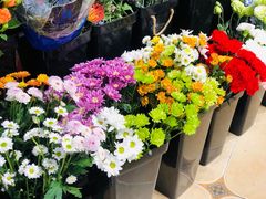-ChaKo Flora ·茶子花艺 (市北店)