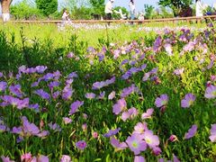 -汉长安城未央宫国家考古遗址公园