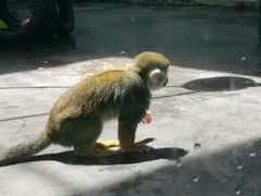 -西安秦岭野生动物园