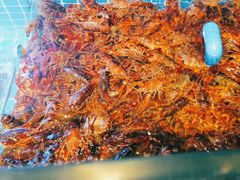-罗马假日海鲜自助餐厅(星湖广场店)