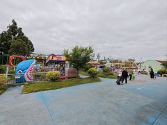 -空港花田景区