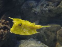 -福州罗源湾海洋世界旅游区