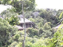 -三亚亚龙湾人间天堂鸟巢度假村