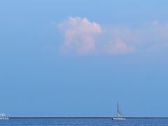 -碧海金沙
