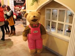 景点-济州岛泰迪熊博物馆