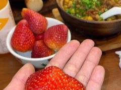 -罗妈砂锅(四川成都奎星楼店)