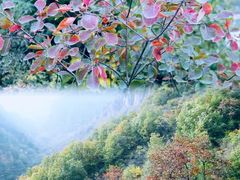 -京东石林峡风景区