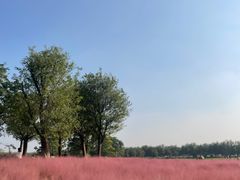 -汉长安城未央宫国家考古遗址公园