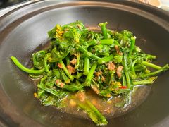 砂锅板蓝根-丽华园(青少年宫店)